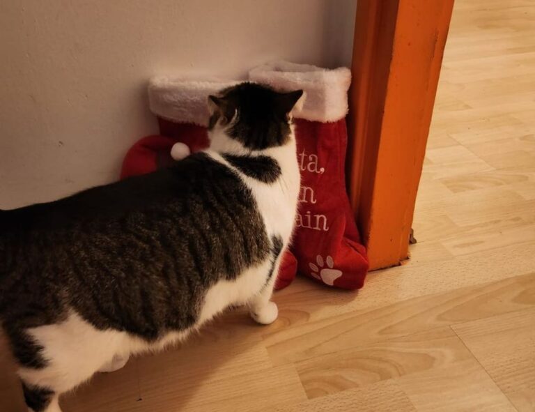 aggr8investing financial news from aggreg8