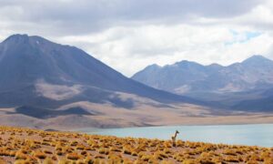 bug on dropbox 8737.idj.029.22