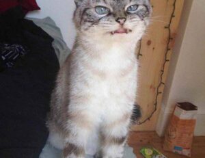 business guide aggr8investing