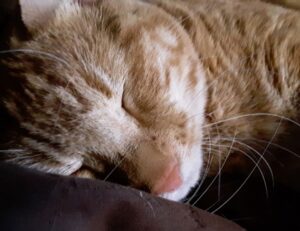 business property plans aggr8investing