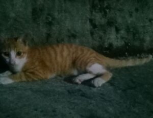 business updates aggr8finance