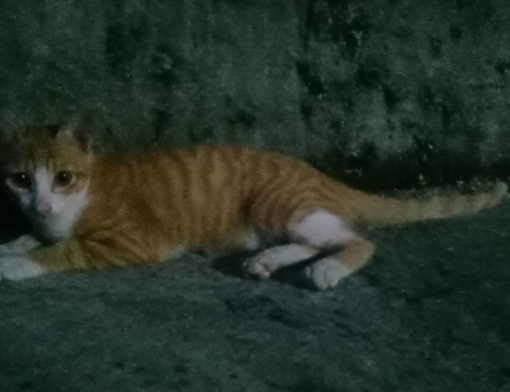 business updates aggr8finance