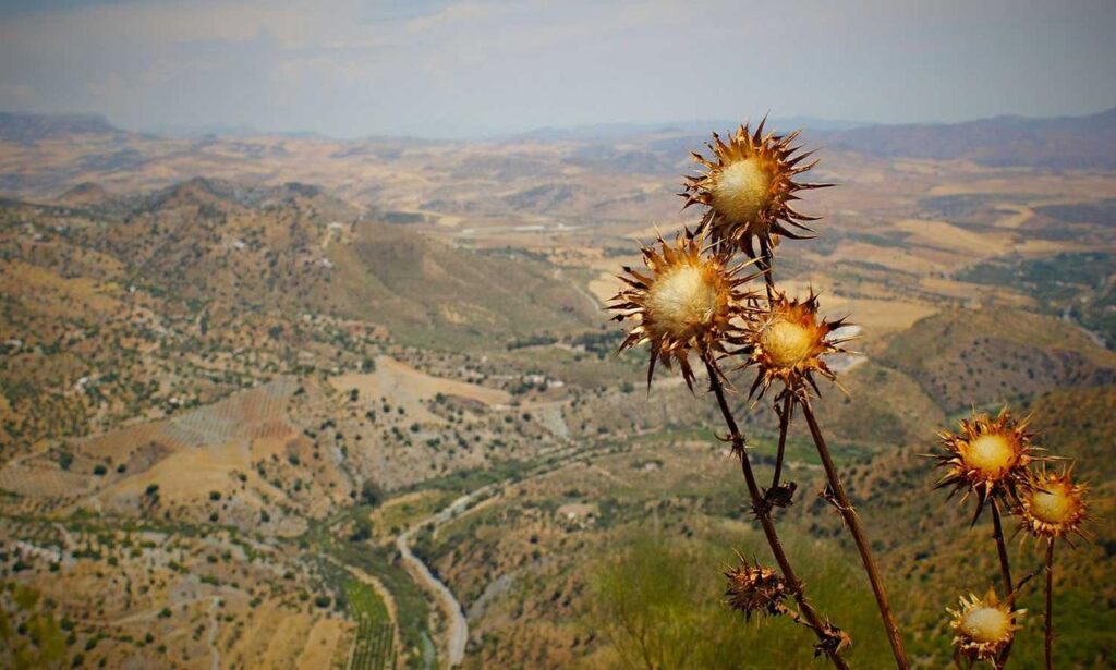 financial updates aggr8finance