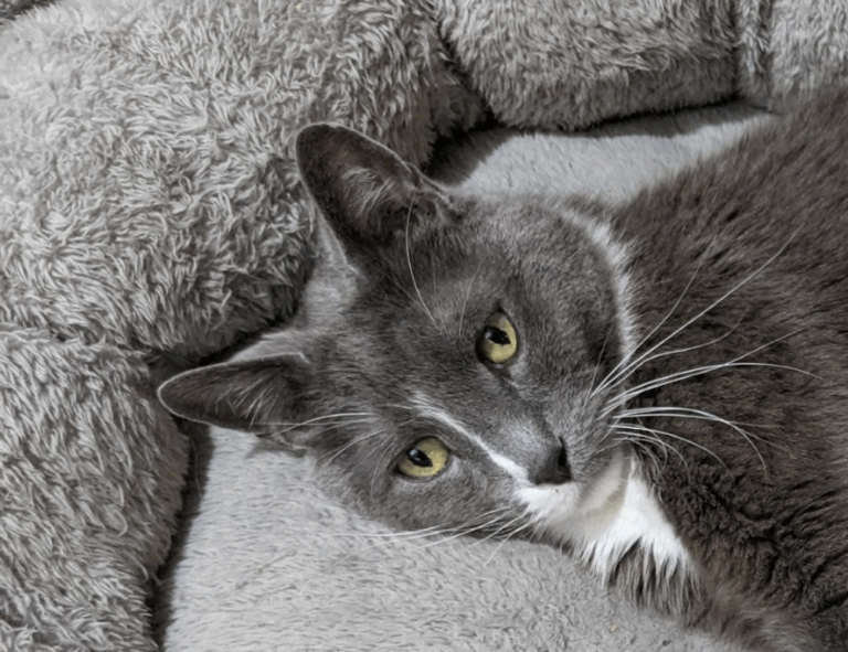 investment news aggr8finance