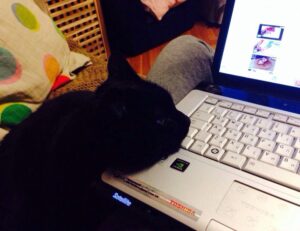 news business aggr8finance