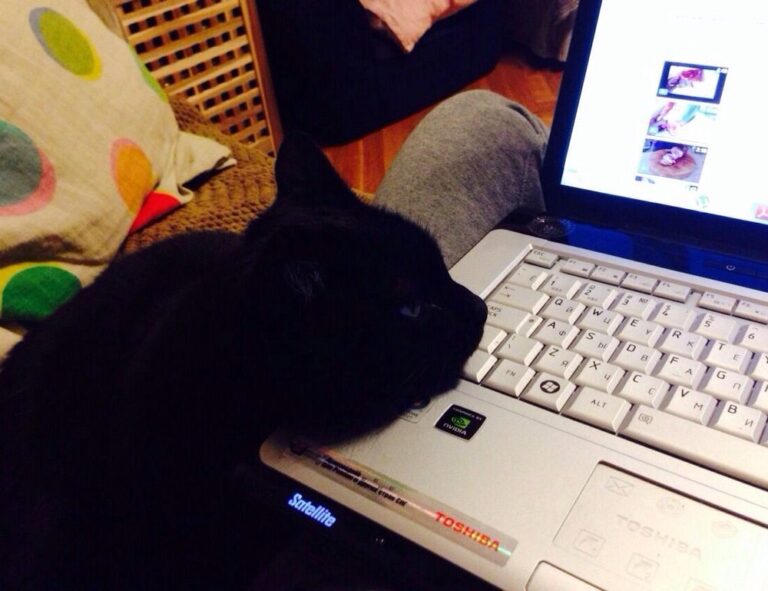 news business aggr8finance