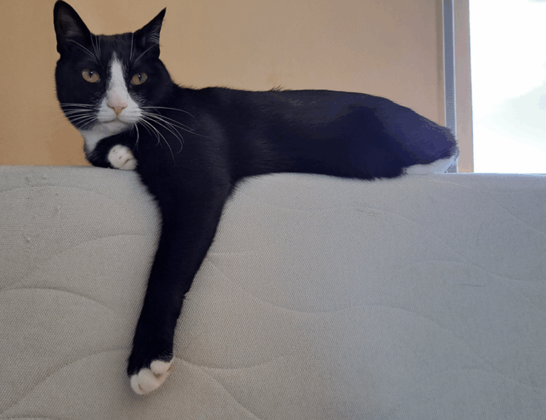 which business ideas to start aggr8investing