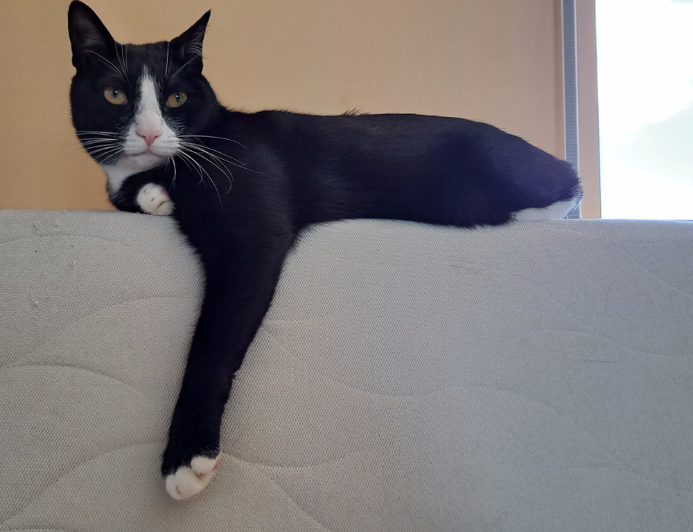 which business ideas to start aggr8investing