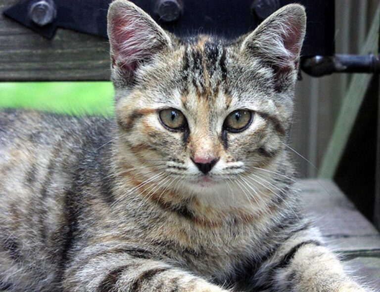 why lerakuty cave water so clear