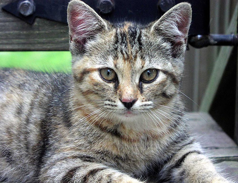 why lerakuty cave water so clear