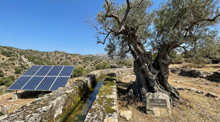 Operational Longevity