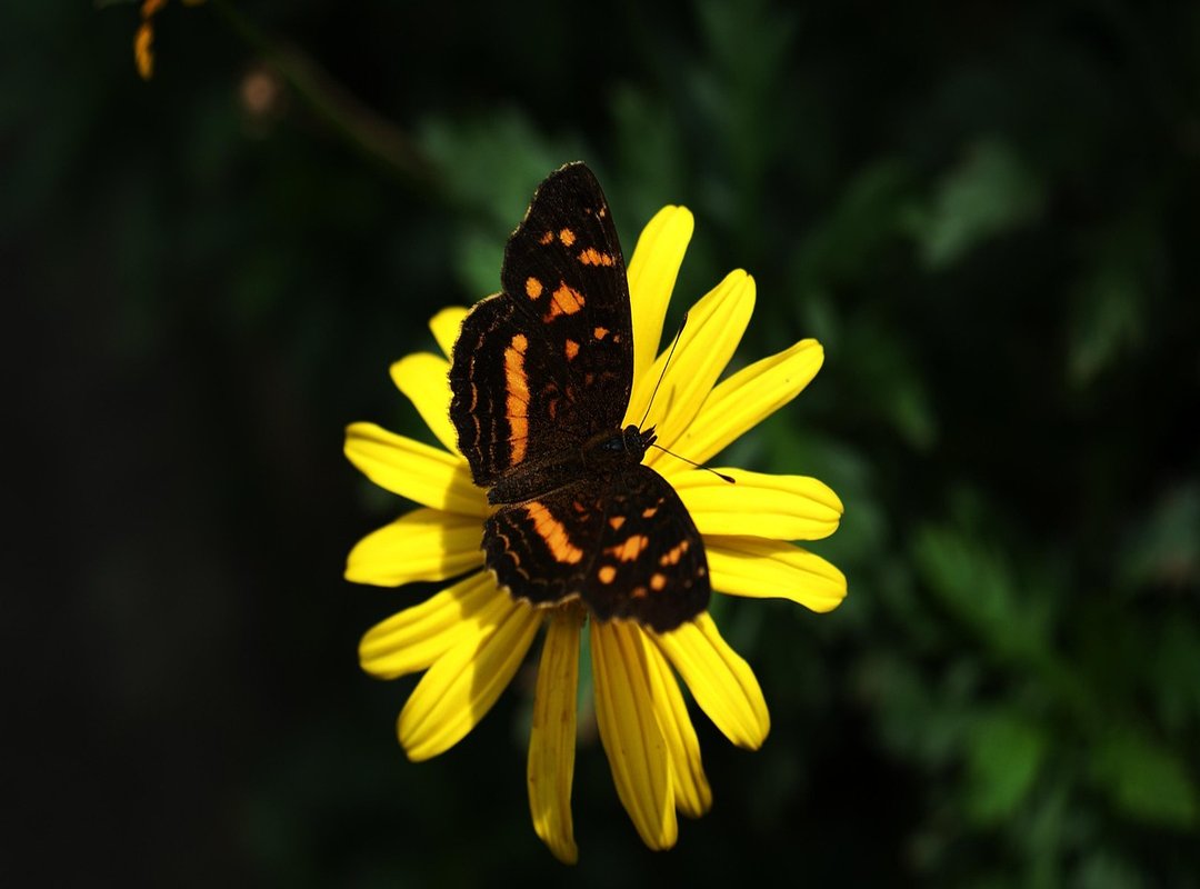 Hdfc Guide Roarbiznes