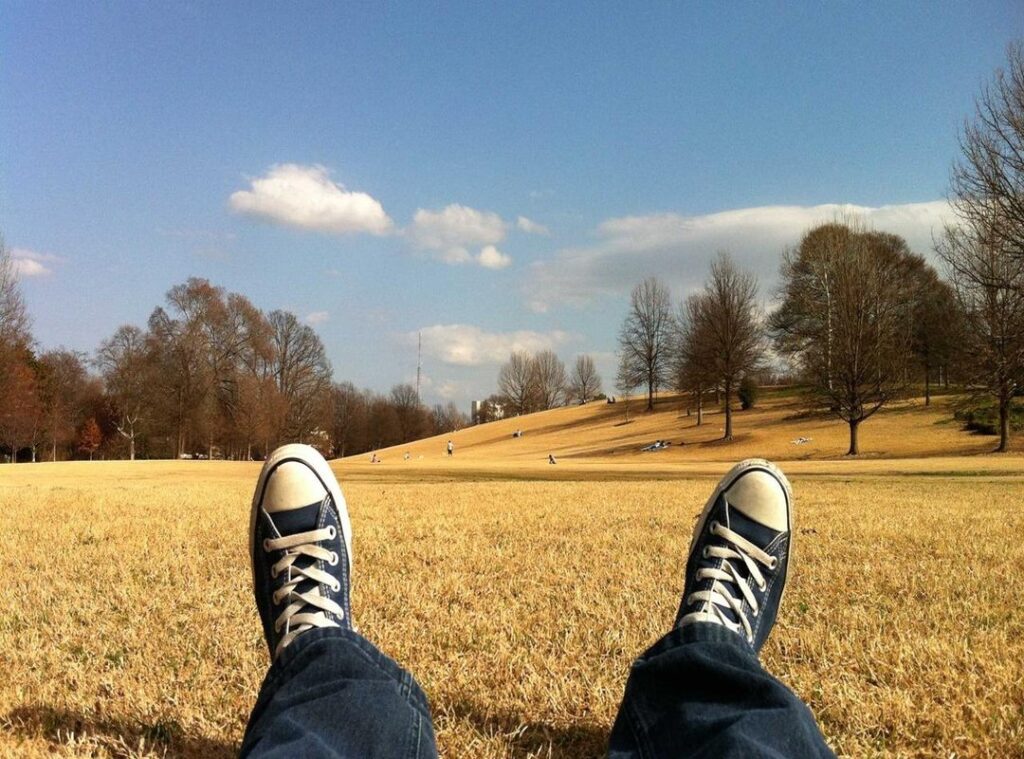 biascope download.co