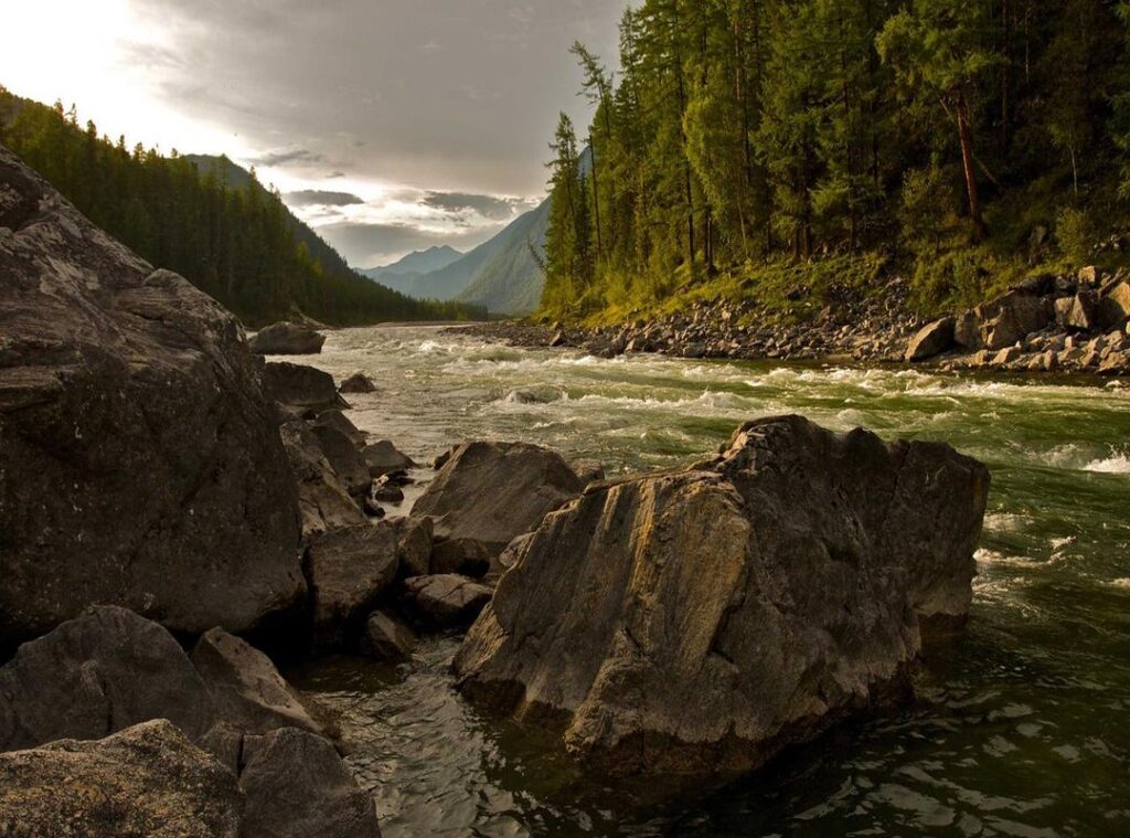 delores nowzaradan leeftijd