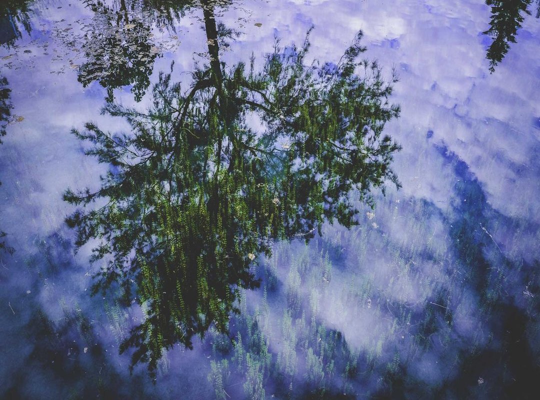 The Pros and Cons: An Honest Breakdown