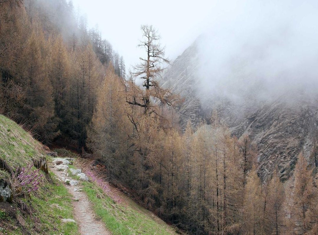 The Honest Truth: Pros and Cons of the Angela 88