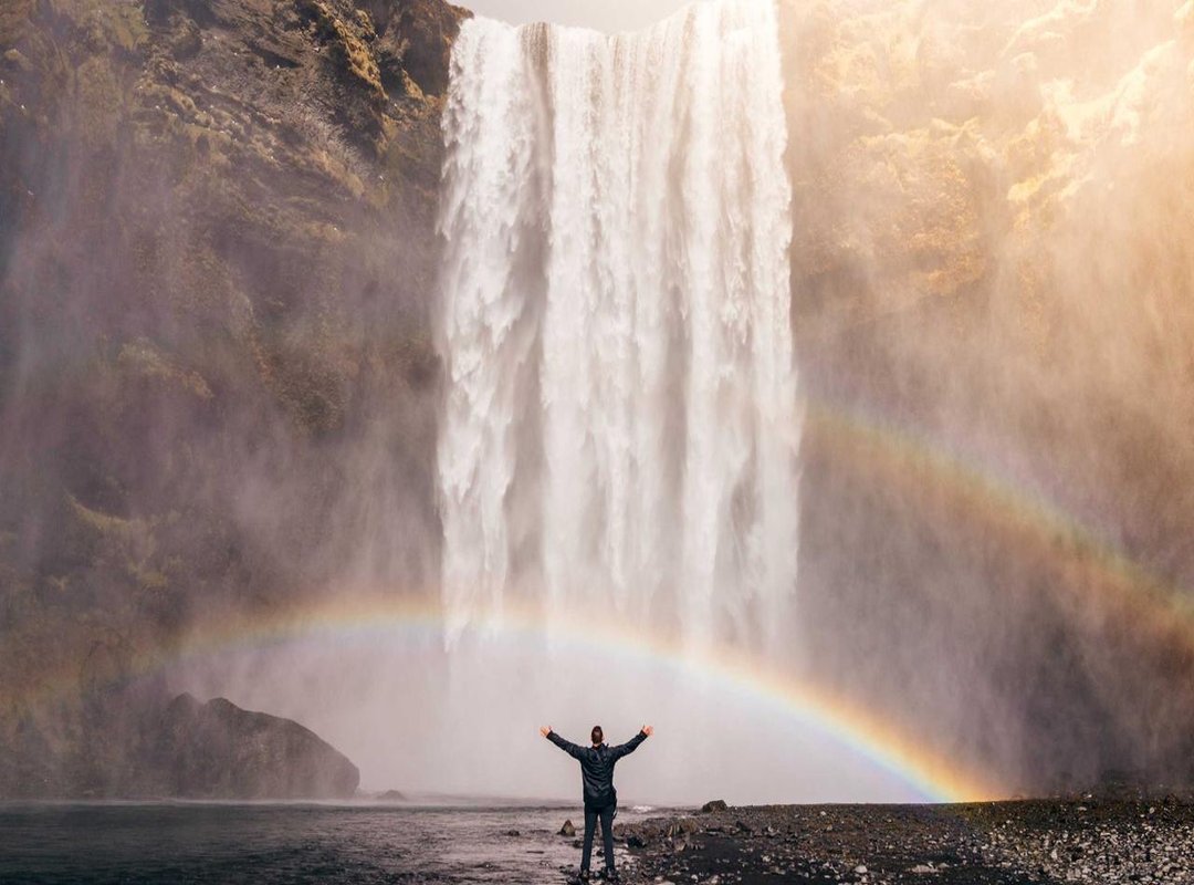 Public Reaction: Praise, Criticism, and Controversy