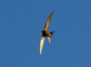 taylor swift ugly photo