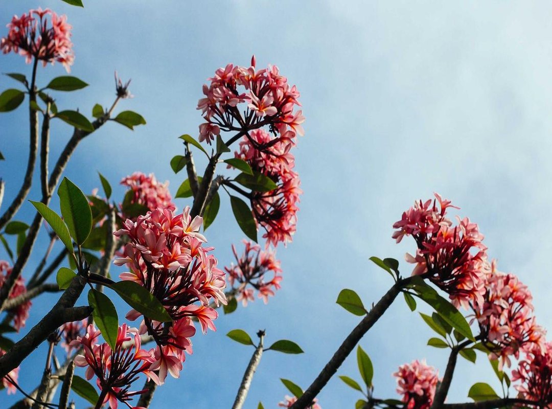 Room by Room Guide: Where to Use Ivory Yellow in Your Home